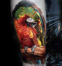 Click here to visit our gallery: 57 Best Bird Tattoos For Men Cool Design Ideas 2021 Guide