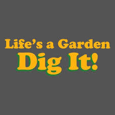 Life's A Garden Dig It Funny Movie Graphic T SHIRT Joe Dirt ...