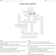 If you're still haven't solved the crossword clue bones, in anatomy then why not search our database by the letters you have already! Bone And Muscle Anatomy Crossword Wordmint