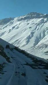 Image result for Ottelia lisowskii