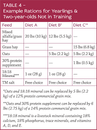 feeding young horses for sound growth horse journals