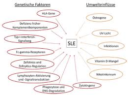 Atiologie Und Pathogenese Einer Systemischen Autoimmunerkrankung Trillium Gmbh Medizinischer Fachverlag