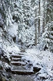 Day Dreaming Granite Falls Winter Scenes Snoqualmie Washington