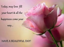 Life Quotes Beautiful Pink Roses Pretty Flowers Flowers