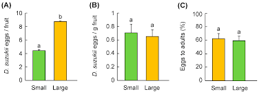 We provide professional pest control in fresno, california area for residences, commercial buildings, schools, and offices. Insects Free Full Text Temporal Dynamics Of Host Use By Drosophila Suzukii In California S San Joaquin Valley Implications For Area Wide Pest Management Html