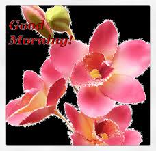 Share good night gifs to your friends and family members. átop 350 Good Morning Gifs Morning Gif Love Gif Images