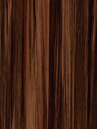 WX-437 Tigers Eye Silkwood – Surface Materials