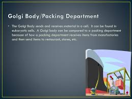 We did not find results for: Ppt Cell Parts Analogy Restaurant Powerpoint Presentation Free Download Id 2458095