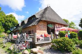 Sie können den suchauftrag jederzeit bearbeiten oder beenden; Wohnung Mieten Vermietungen Fur Wohnungen In Ostseebad Kuhlungsborn