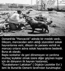 Keske Simdide Oyle Olsa Gerkes Evinde Et Tavuk Yiyordur Bari Et Artiklarinizi Sokaktaki Kedilere Kopeklere Verin Ac Hayvanlar Tarih Gercekler Askeri Tarih