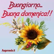 Aggiunta il 15 aprile 2019 da buongiorno. 900 Idee Su Buona Domenica Nel 2021 Buona Domenica Domenica Buongiorno