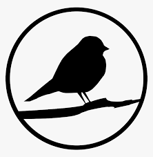 Alan black , bob black , emi rob black , rob black , robin , robin lord black , robin b.b.b.b.black , robin brack , rockin' robin black , ron black. Transparent Robin Bird Clipart Robin Clip Art Black And White Hd Png Download Kindpng