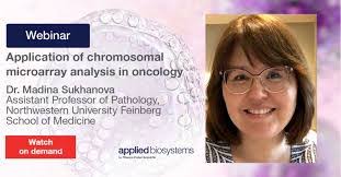 Wendy Basinger's Instagram, Twitter & Facebook