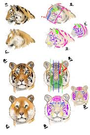 Comment Dessiner Un Tigre Comment Dessiner Un Tigre Dessin Tigre Peinture Tigre