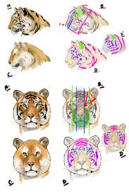 Placer l'image à côté de votre zone de dessin pour faciliter la consultation. Comment Dessiner Un Tigre Comment Dessiner Un Tigre Peinture Tigre Dessin Tigre