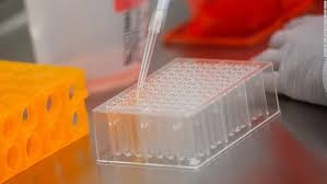 Novavax pushed back its timelines as it worked on manufacturing steps, including laboratory tests to show its this should actually put some pricing pressure, as well, when. Novavax Coronavirus Vaccine Is Safe Elicits Immune Response Cnn