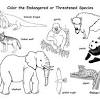 This is animal coloring pages of the most endangered rainforest animals including the golden lion monkey image. Https Encrypted Tbn0 Gstatic Com Images Q Tbn And9gctv Ncemjbxl6pcfovjs Knttadqrmb4jatnxvx390nowmbgk1b Usqp Cau