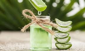 Die Besten Hausmittel Gegen Hautausschlag Aloe Vera