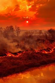 bush fire australia 風景 美しい景色 美しい壁紙