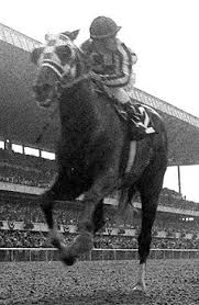 Image result for secretariat