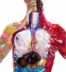 The Plastic Inside Us | UCSF Magazine