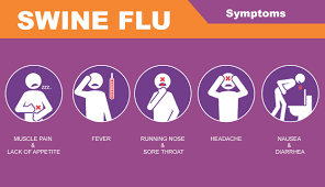 Combating Swine Flu Myths Symptoms And Precautions