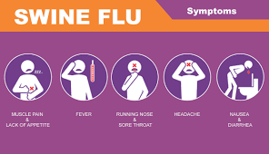 combating swine flu myths symptoms and precautions