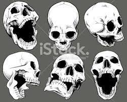 Collection Of Six Vector Isolated Black And White Skulls Shown From Skull Art Skulls Drawing Anatomy Art