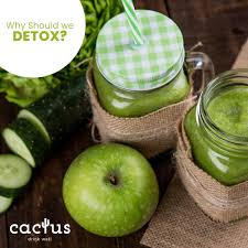 Depending on what kind of cleanse you choose, this drinking spree can last from as short as a day to 5 days or even a week. Cactus Drink Well Home Facebook