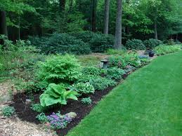 My Garden Betty On Gardening Shade Garden Shade Perennials Perennial Garden Design