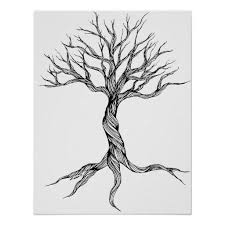 Twisted Tree Illustration Google Search Roots Drawing Tree Drawing Simple Tree Art