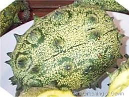 It starts off small and very spiky and. African Horned Melon The Greening Of Gavin