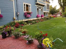 Glorious gorgeous flower perennial garden with lawn, steps, delphinium, knautia, salvia, climbing vine on brick wall, pot. My Fil S Beautiful Backyard Flower Garden Gardening