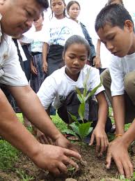 Environment Activity