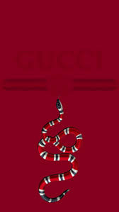 Choose from a curated selection of 4k wallpapers for your mobile and desktop screens. Gucci Snake Wallpaper Hd Iphone