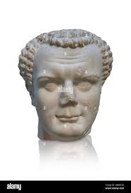 Portrait of titus hi-res stock photography and images