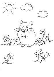 Check spelling or type a new query. Kostenlose Malvorlage Meerschweinchen Meerschweinchen Auf Der Wiese Zum Ausmalen