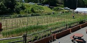 Roots of Salem: A Demonstration of Indigenous Foodways
