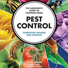 5 best free family games & top 5 group board games. Recap Chat With A Pest Control Expert Finegardening