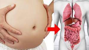 If you are told you have stomach cancer do you know the stage of the cancer? How Your Stomach Controls Hcl Acid For Preventing Stomach Cancer By Docopd 24x7 Patient Assistance Platform Medium