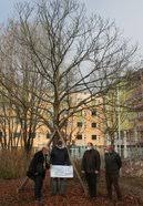 Simbach am inn liegt im süden niederbayerns, etwa 15 km östlich des zusammenflusses von inn und salzach. Psychosomatische Fachklinik Rottalinnkliniken De