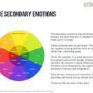 Image Result For Primary And Secondary Emotions Flow Chart