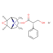 Image result for Scopolamine