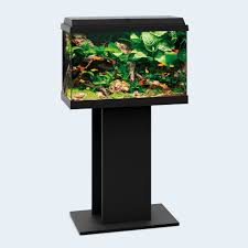 Denn ein 60 l aquarium inklusive glasbecken. Juwel Aquarium Primo 70 Led
