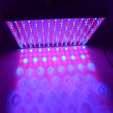 15 highest yielding led grow light reviews. Excellent Blue Red Mixed 225 Led Hydroponic Grow Light Panel Indoor Garden Plant Lamp 14w Us Plug Find Out Led Grow Lights Best Led Grow Lights Grow Lights