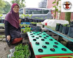 15 tanaman sayur ini bisa ditanam di rumah, cepat tumbuh dan mudah dirawat. Hidroponik Pakmansorfarm