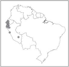 Cactus communications was recognized as a pioneer of integration and empowerment of millennials and was identified among the best companies for millennials in 2019. Systematics Of The Neotropical Genus Leptodactylus Fitzinger 1826 Anura Leptodactylidae Phylogeny The Relevance Of Non Molecular Evidence And Species Accounts