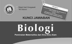 Kunci Jawaban Lks Kimia Kelas 10 Semester 1 Intan Pariwara Cute766