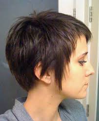 Short haircuts are really amazing way to take extra attention to your stunning face, consequently you may think in advance what physical feature you would like to emphasize to stay elegant and trendy, there is no more suitable hairstyle option than short pixie haircuts for thick straight hair 2019! 15 Short Haircuts For Thick Straight Hair