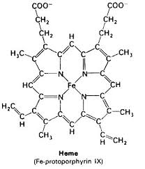 Image result for Heme